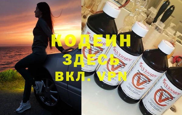 прущие грибы Абаза